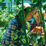 Internationaal familiebedrijf in duurzame consumentenproducten